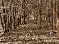 Beskid Niski